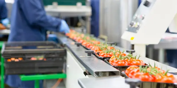 Why Packaging Manufacturers Are Turning To Vision Systems